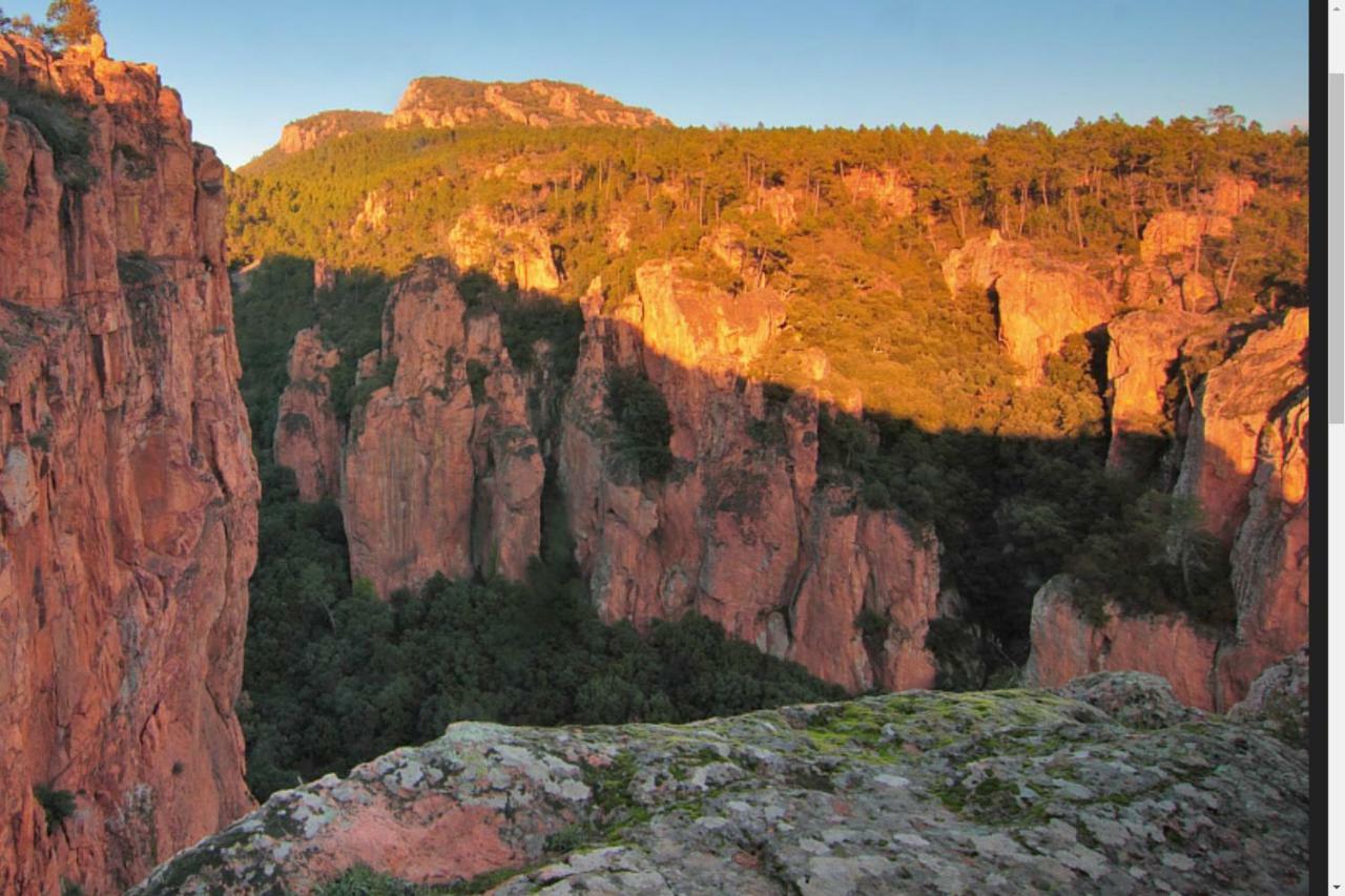 Entre Mer et Estérel Roquebrune-sur-Argens Exterior foto